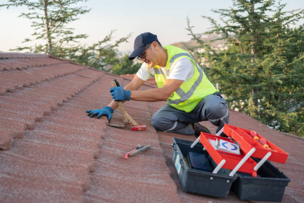 Best Roof Gutter Cleaning  in La Palma, CA